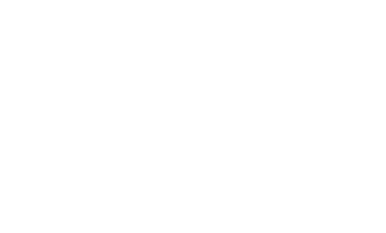 100% partner